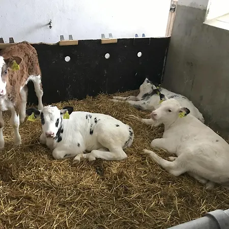 Bauernhof Hipp Appartamento